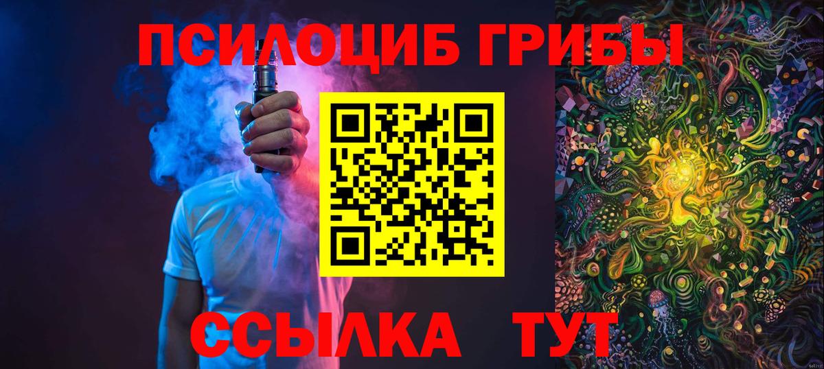 Псилоцибиновые грибы Psilocybine cubensis Ялуторовск
