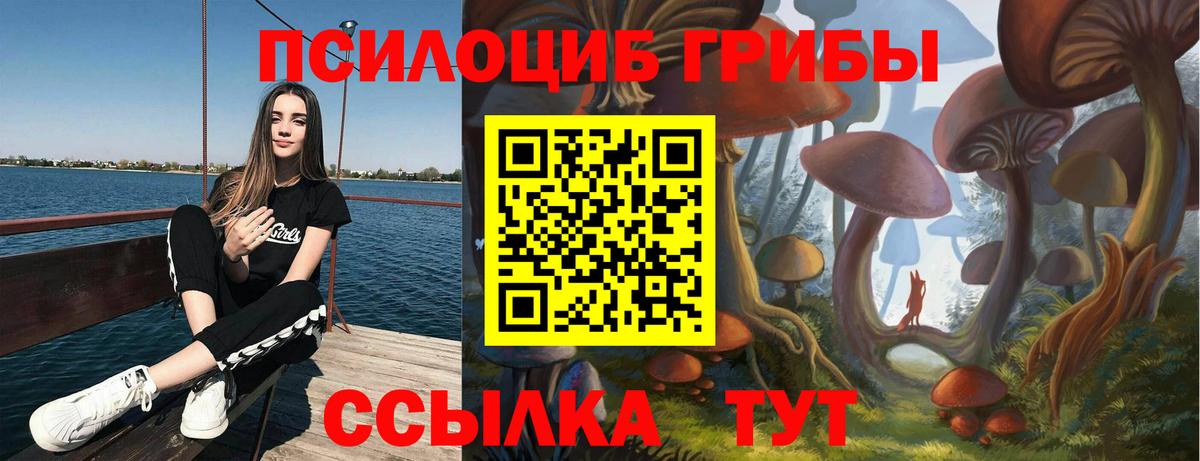 Ялуторовск  как найти закладки  Галлюциногенные грибы Psilocybe  Вход с VPN  Псилоцибиновые грибы Psilocybe 